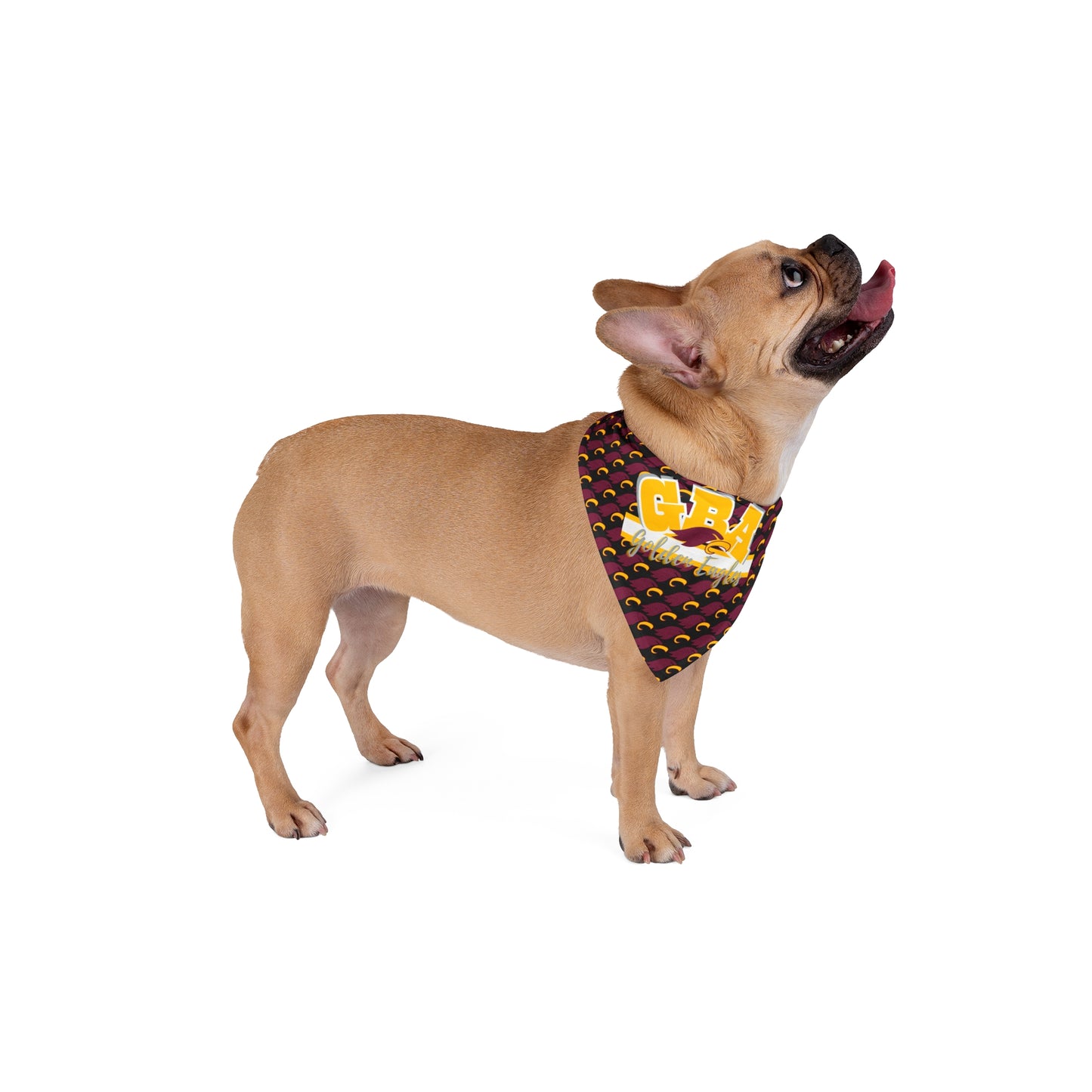 "GBA" Pet Bandana